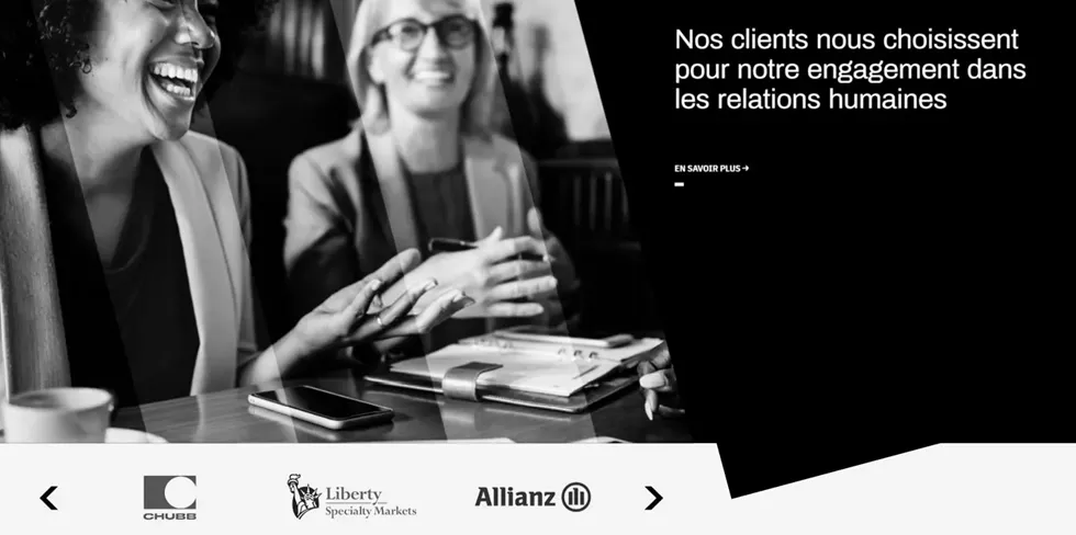 Hyalin - Détail de la page d'accueil - Nos clients