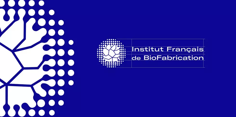 Institut Français de BioFabrication - détail création du logo